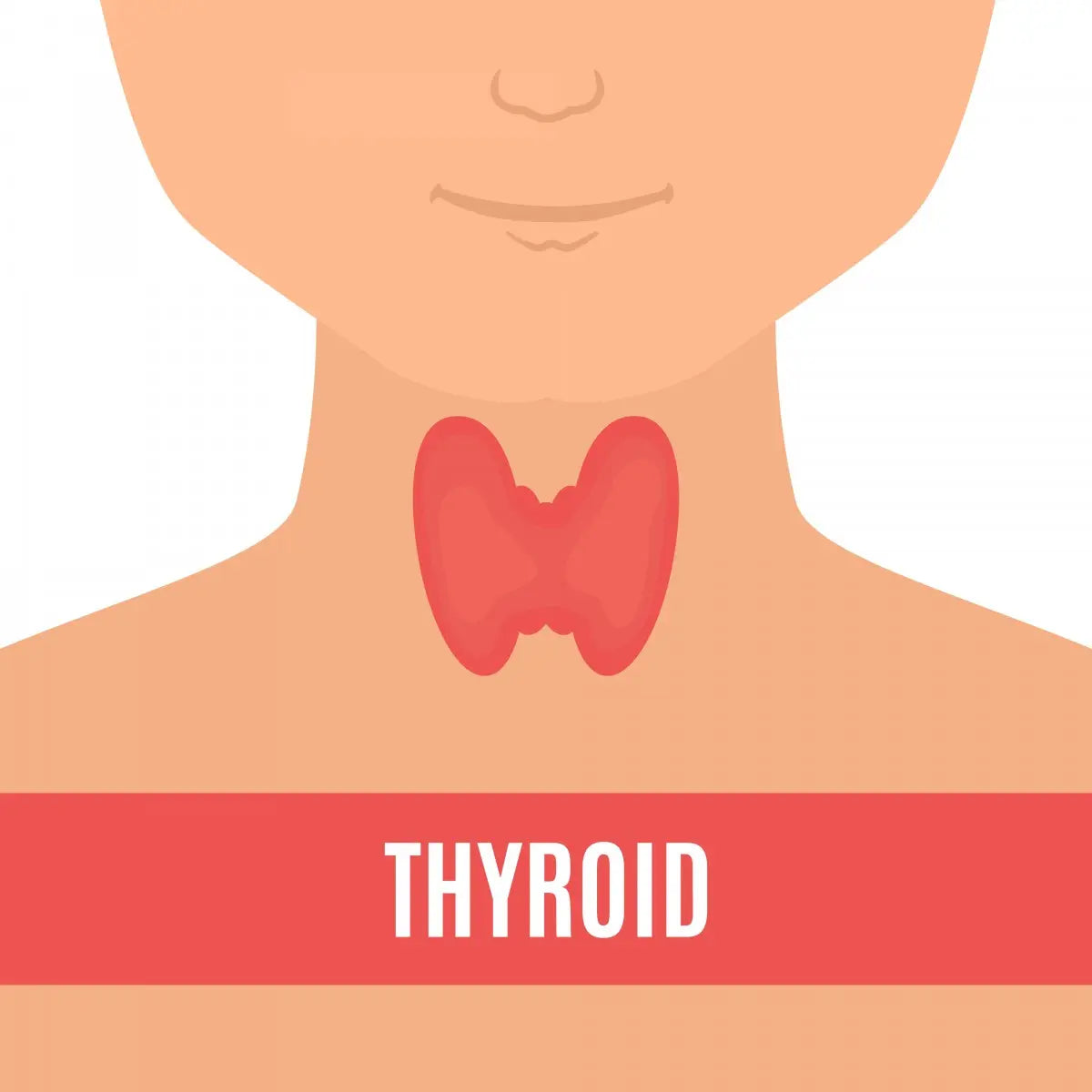 Best Shampoo for Thyroid Hair That Promotes Healthy Growth