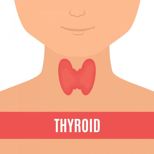 Best Shampoo for Thyroid Hair That Promotes Healthy Growth