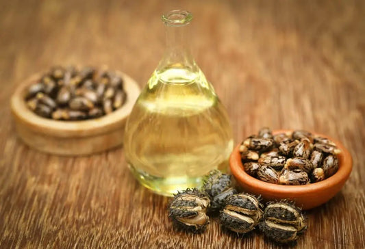 Castor Oil DHT Results and Evidence for Hair Growth