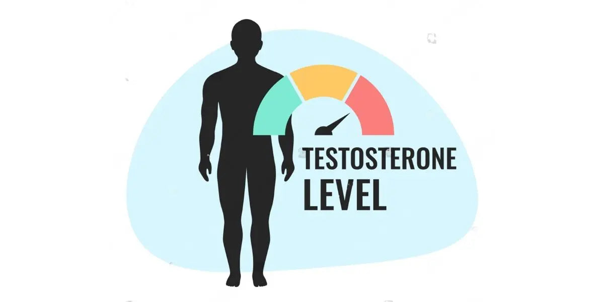 Hair Loss Science: Do DHT Blockers Lower Testosterone Levels