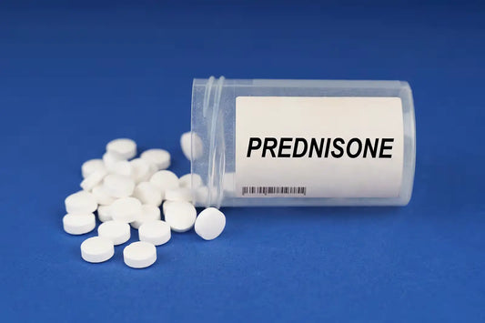 Does Prednisone Cause Hair Loss or Is It Temporary Shedding?