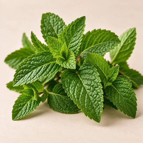Peppermint Oil