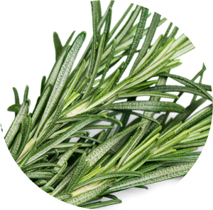 Rosemary